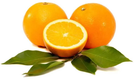 Navelina oranges, 10 kilos for table. Located in the Safor-Valldigna