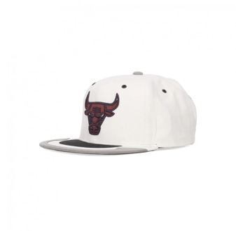 NBA Day 4 Snapback Pet Wit/Zilver Mitchell & Ness , White , Heren - ONE Size