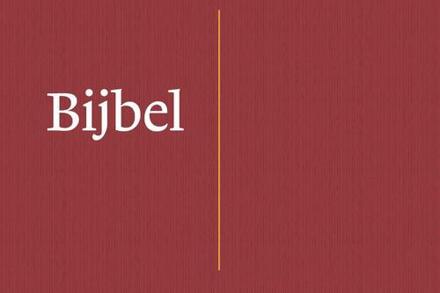 NBV21 Dwarsligger -   (ISBN: 9789089124388)