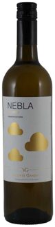 Nebla Verdejo