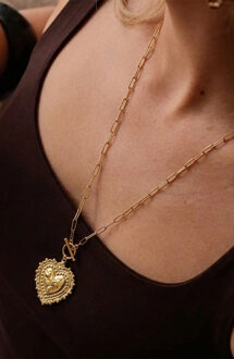 Necklace Heart Long Gold Goud