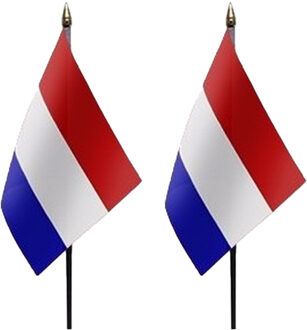 Nederland - 2x - mini vlaggetje van 10 x 15 cm op stokje - Landen vlag - H27 cm