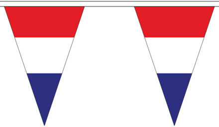 Nederland vlaggenlijn - 5 meter - 12 puntvlaggetjes - polyester - tweezijdig bedrukt Multi