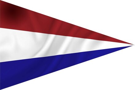Nederlandse puntvlag 30 x 45 cm