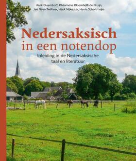 Nedersaksisch in een notendop - Henk Bloemhoff, Philomène Bloemhoff-de Bruijn, Jan Nijen Twilhaar, e.a. - 000