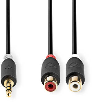 Nedis Adapterkabel 3,5 mm Male - RCA Female 0,2 Meter Grijs