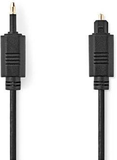 Nedis Optische Audiokabel | TosLink Male | Mini-Toslink | 1.00 m | Rond | PVC | Zwart | Label - CAGL25100BK10