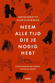 Neem alle tijd die je nodig hebt - Antoinnette Scheulderman - ebook