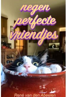 Negen Perfecte Vriendjes (Hc) - René van den Abeelen