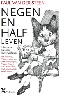 Negenenhalf leven - eBook Paul van der Steen (9401603901)