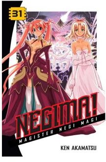 Negima! 31