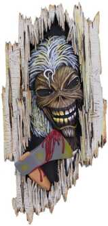 Nemesis Now Iron Maiden Plaque Killers