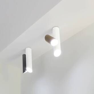 NEMO Tubes LED plafondlamp 2-lamps wit/grijs wit, grijs