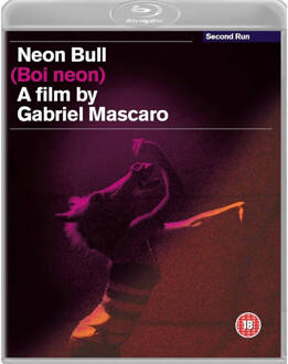 Neon Bull