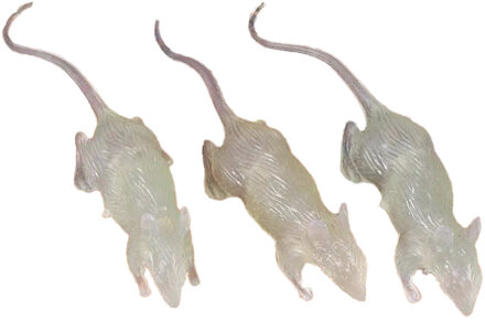 Nep ratten 7 cm - glow in the dark - 3x stuks - Horror/griezel thema decoratie dieren