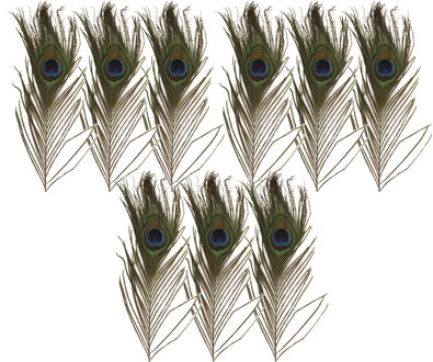 Nepveren/sierveren - Pauwen veren - 9x stuks - gekleurd - 25 cm