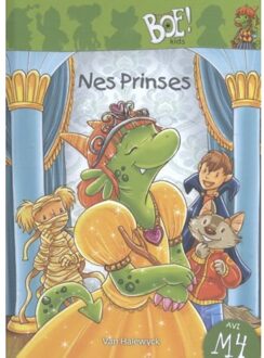 Nes Prinses - Boek Nico De Braeckeleer (9461317182)