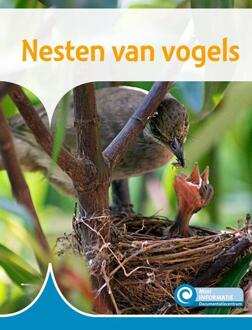 Nesten van vogels