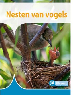 Nesten van vogels
