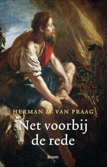 Net voorbij de rede - Boek Herman M. van Praag (9089533109)