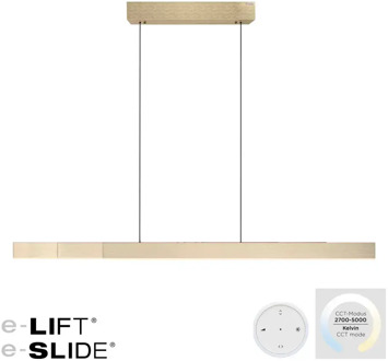 Neuhaus PURE-MOTO-RISE Hanglamp Slide & Lift Gold Goud