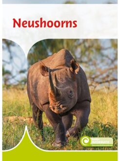 Neushoorns - Junior Informatie - Geert-Jan Roebers