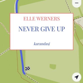 Never Give Up - ELLE WERNERS