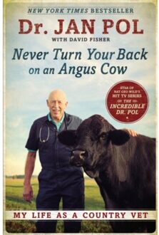 Never Turn Your Back On An Angus Cow