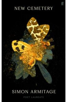 New Cemetery - Simon Armitage