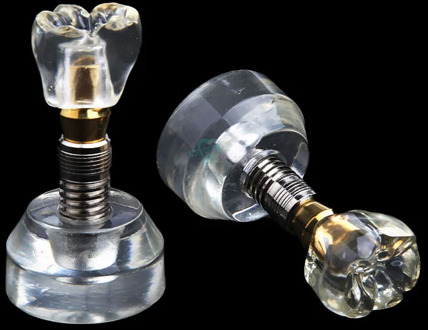 New Dental Arcylic Typodont Implant Study Teeth Model Single Tooth Crown Base Teaching Models