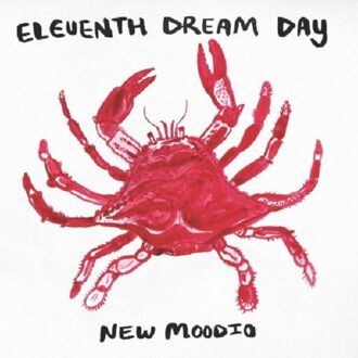 New Moodio - Eleventh Dream Day