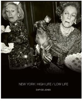 New York: High Life / Low Life - Dafydd Jones - Dafydd Jones