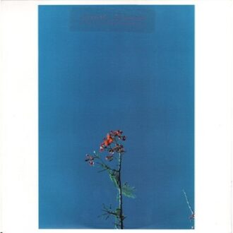 Newsom Joanna - Ep -3tr