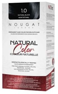 NGTint Permanent Hair Colour Natural Black 1.0