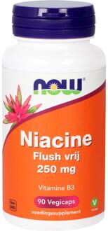 Niacin Flush Free 250Mg Now
