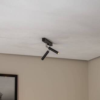 Nicanor plafondspot zwart/chroom 2-lamps zwart, chroom