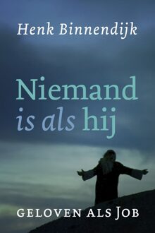 Niemand is als hij - Henk Binnendijk - ebook