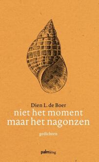 Niet het moment maar het nagonzen - Boek Dien L. de Boer (9491773151)