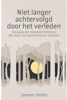 Niet Langer Achtervolgd Door Het Verleden - James Hollis