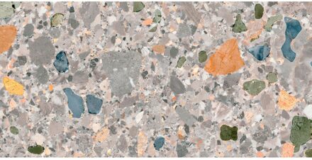 NIET MEER LEVERBAAR Vloertegel Pamesa Pietra Di Gre Multi 30x60 cm Gerectificeerd Mat Multi Pamesa