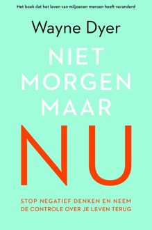 Niet morgen, maar nu - eBook Wayne Dyer (9044973770)