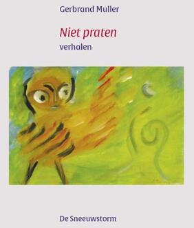 Niet praten - Boek Gerbrand Muller (9082362708)