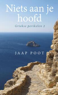 Niets aan je hoofd - Boek Jaap Poot (9461550286)