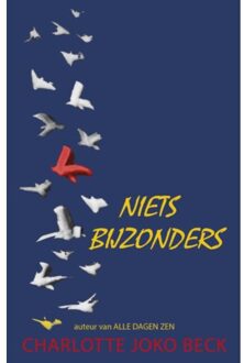 Niets bijzonders - Boek Joko Beck (9063501137)