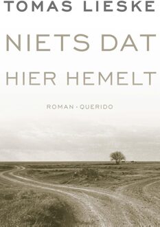 Niets dat hier hemelt - Tomas Lieske - ebook