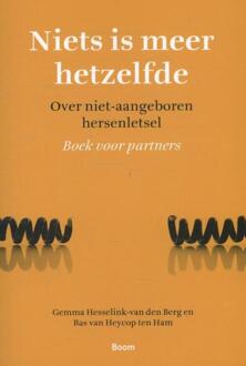 Niets is meer hetzelfde - Boek Gemma Hesselink-van den Berg (908953122X)