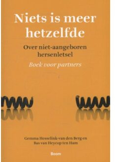 Niets is meer hetzelfde - Boek Gemma Hesselink-van den Berg (908953122X)
