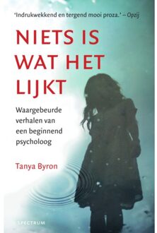 Niets is wat het lijkt