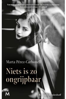 Niets Is Zo Ongrijpbaar - Marta Pérez-Carbonell