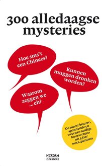 Nieuw Amsterdam 300 alledaagse mysteries - eBook Juliette Vasterman (9046820769)